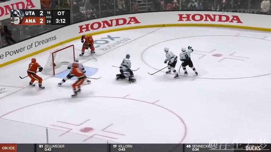 纽约游骑兵对决阿纳海姆小鸭:常规赛较量 纽约游骑兵对决阿纳海姆小鸭:常规赛较量